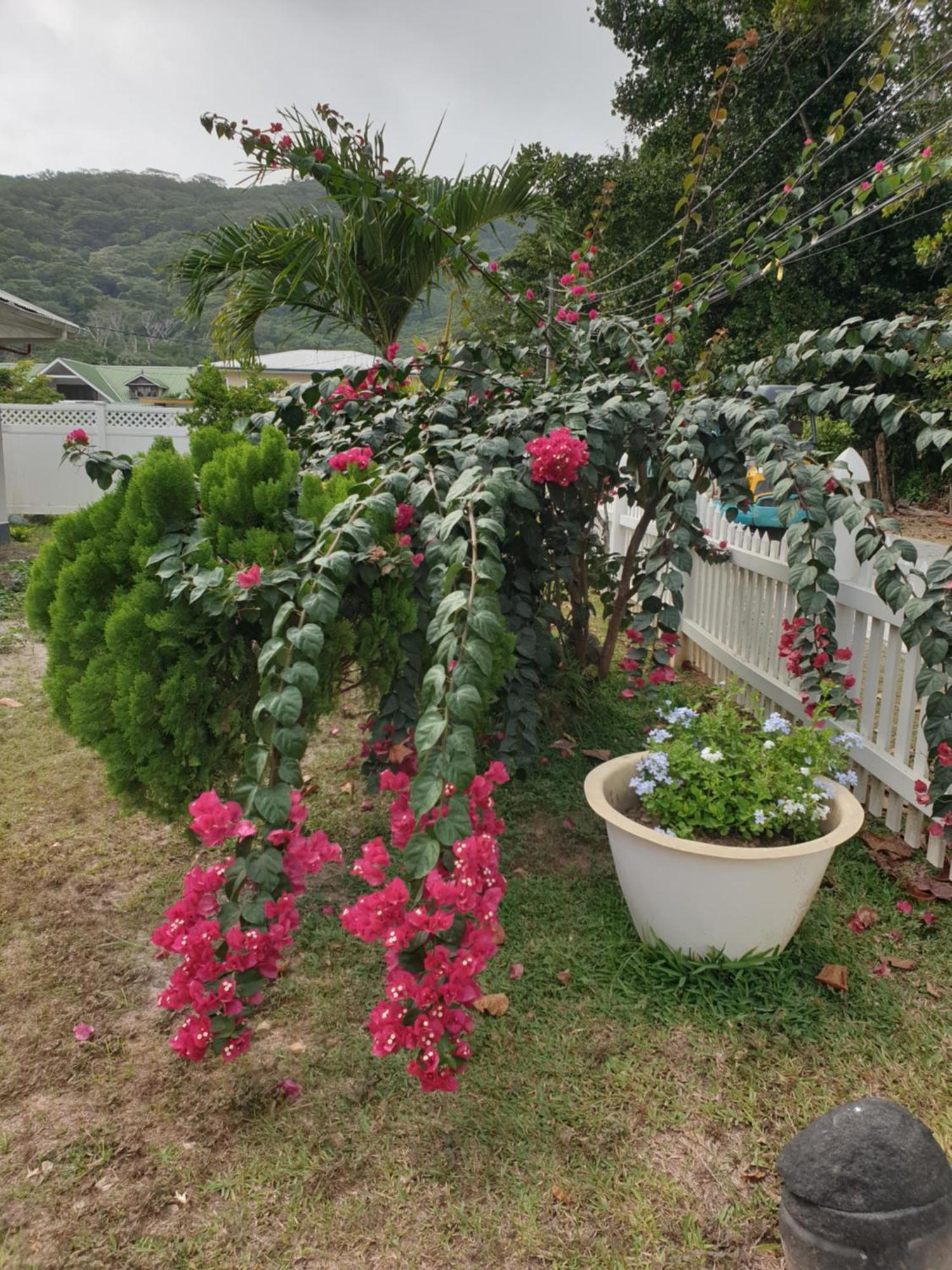 Villa Authentique La Digue Eksteriør billede