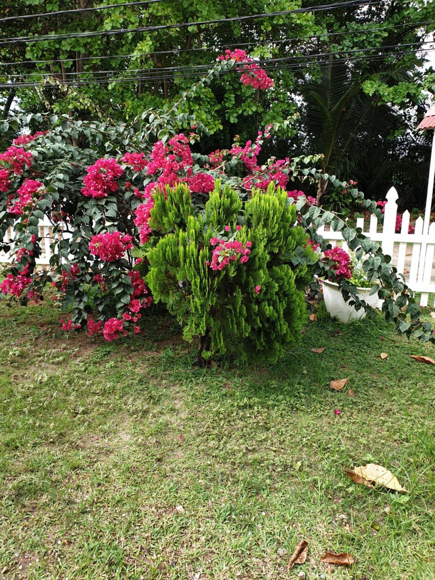 Villa Authentique La Digue Eksteriør billede